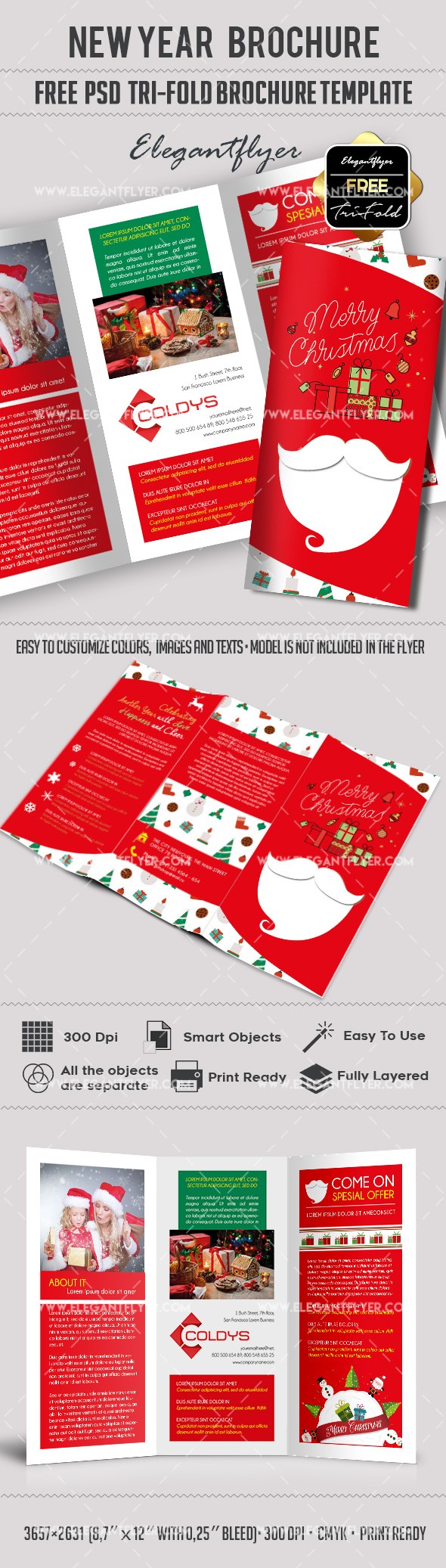 New Year Tri-Fold Brochure by ElegantFlyer