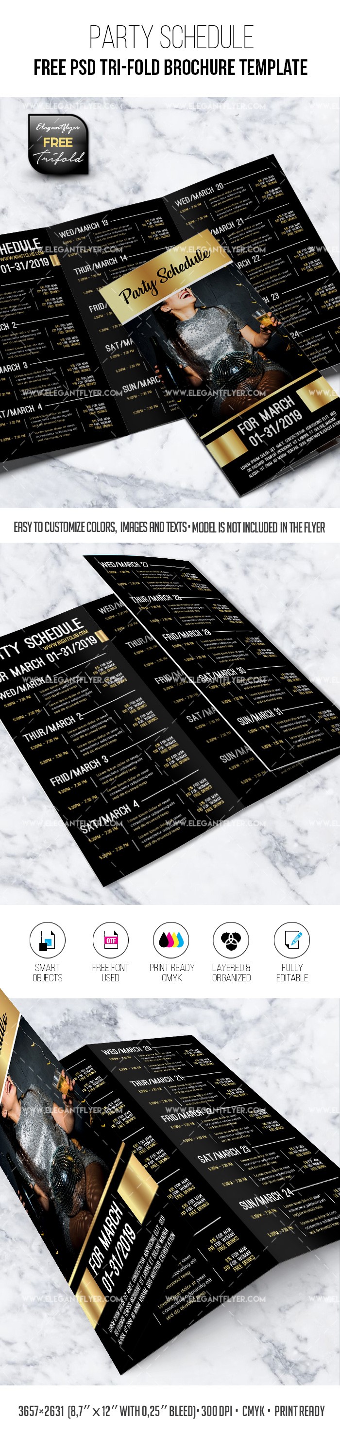 Party Schedule for 1 Month Tri-Fold Brochure by ElegantFlyer