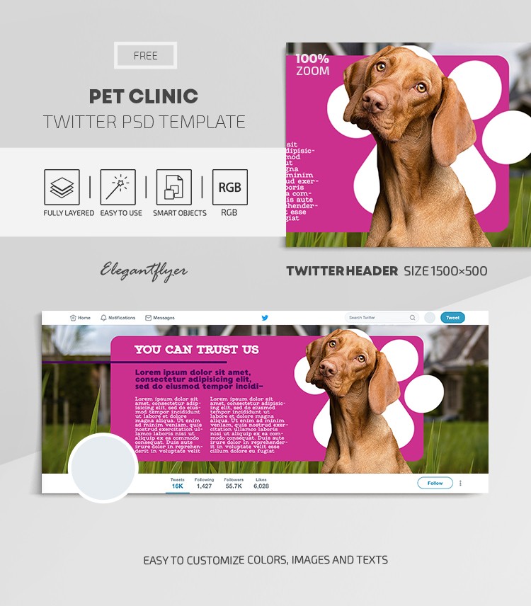 Clinique vétérinaire by ElegantFlyer