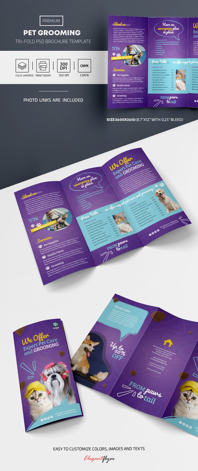 Pet Grooming Tri-Fold Brochure by ElegantFlyer