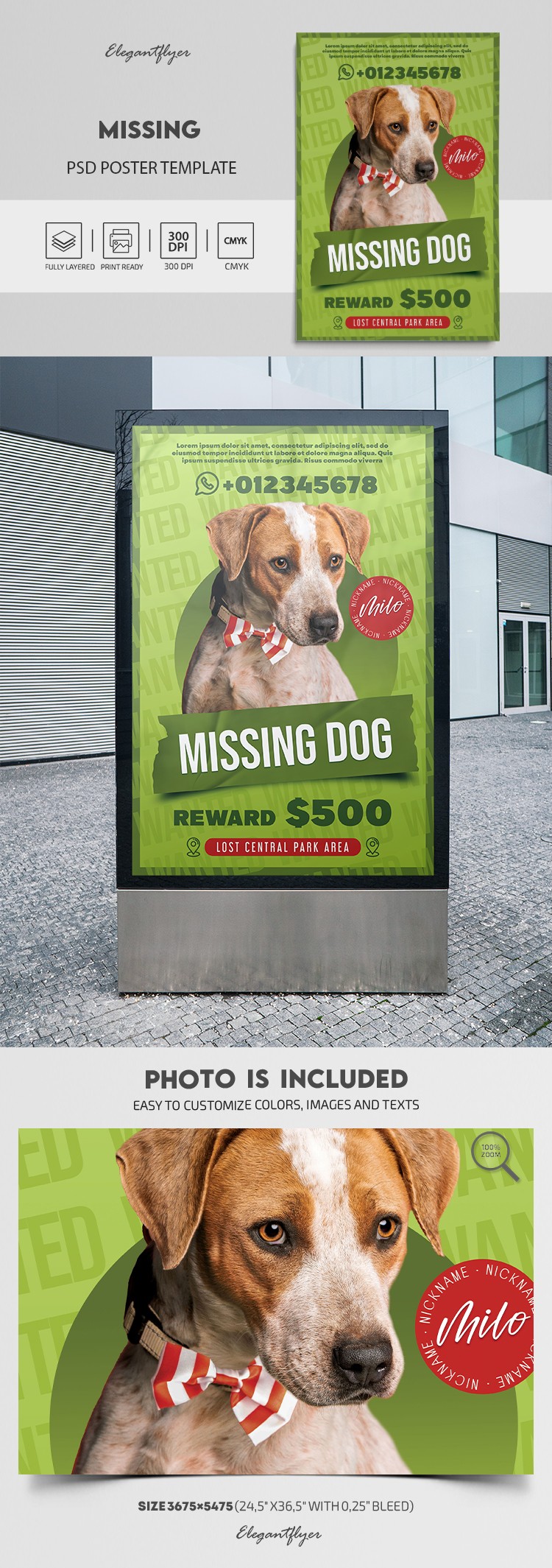 missing dog flyer template