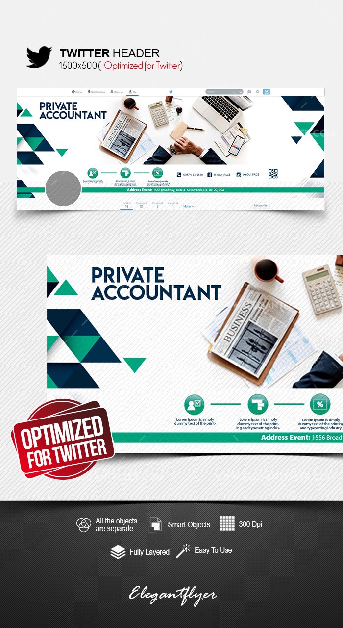 Private Accountant Twitter by ElegantFlyer