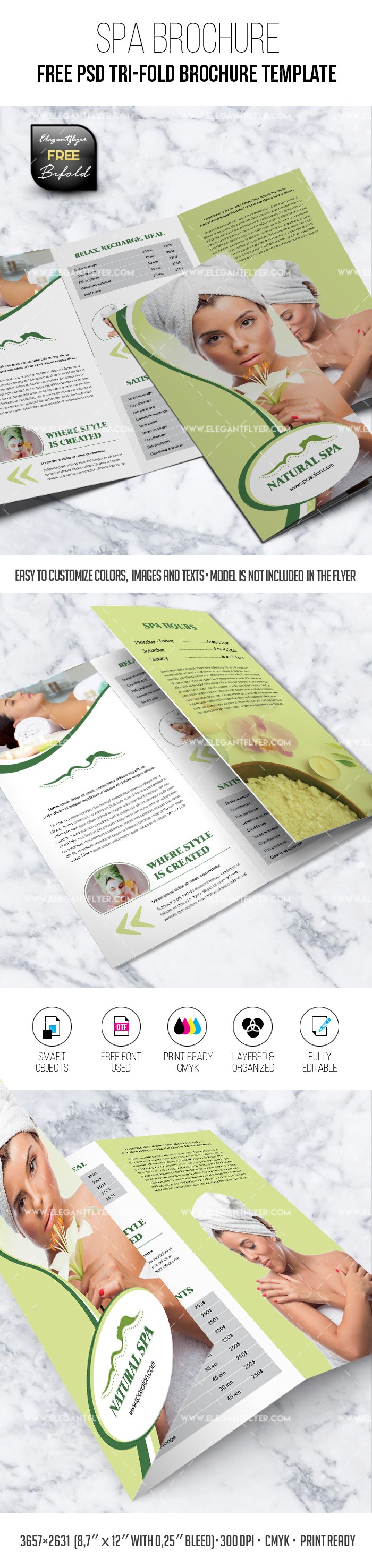 Spa - Free Tri-Fold Brochure by ElegantFlyer
