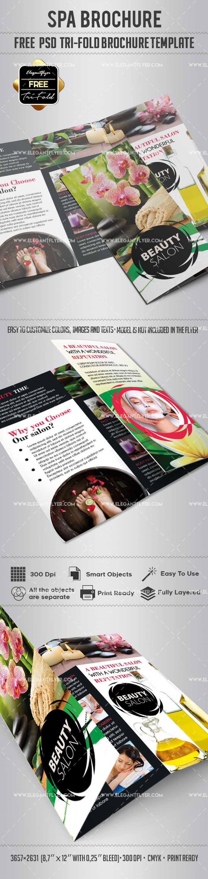 Spa Tri-Folder Brochure by ElegantFlyer