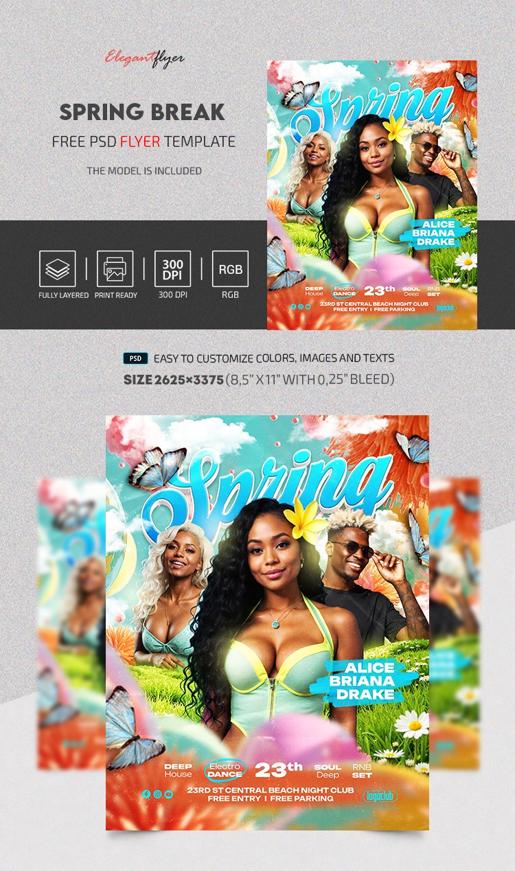 Spring Break Party Flyer by ElegantFlyer