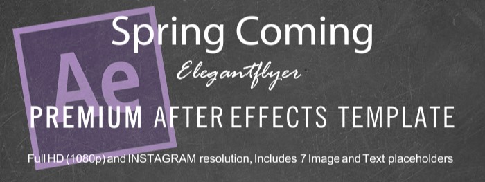 Primavera After Effects by ElegantFlyer
