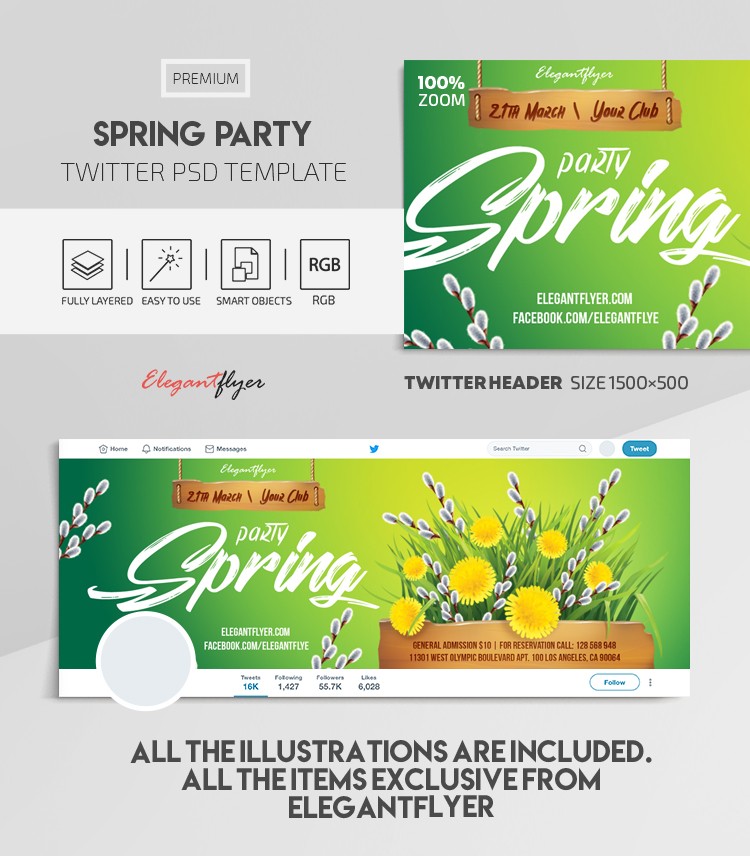 Spring Party by ElegantFlyer