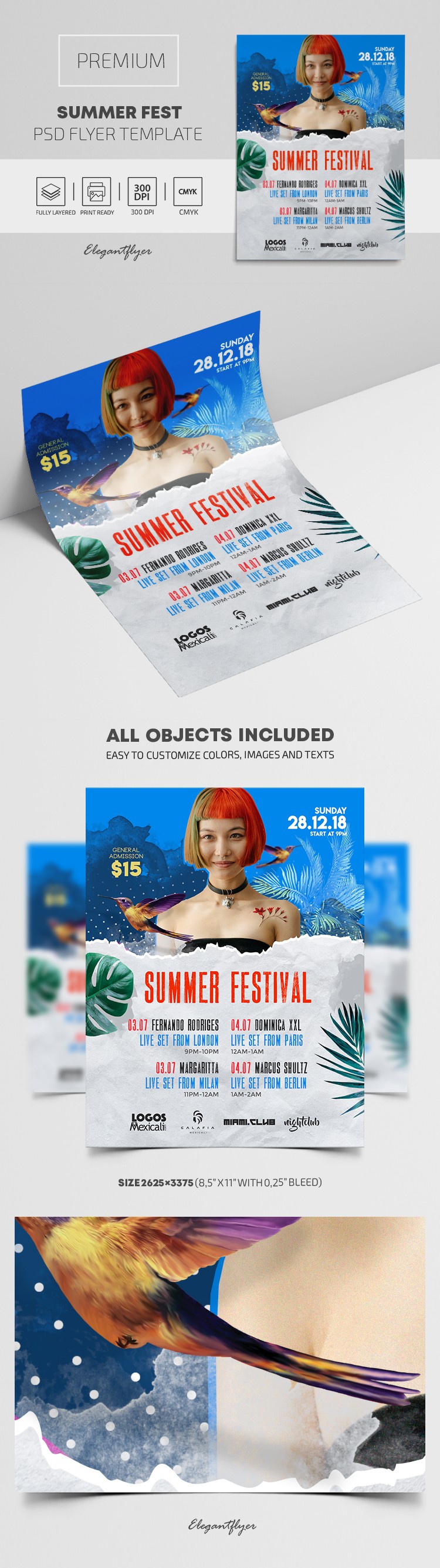Summer Fest Flyer by ElegantFlyer