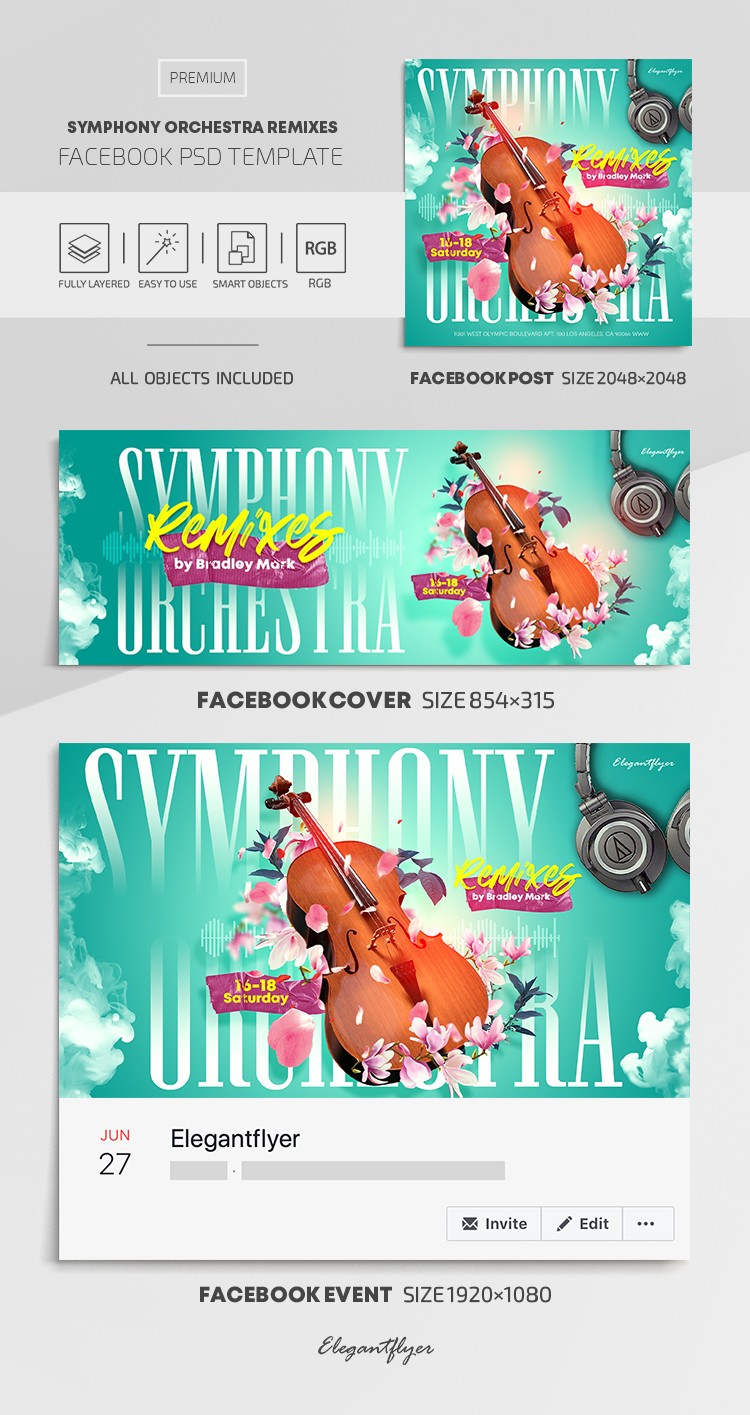 Symphony Orchestra Remixes Facebook: L'orchestre symphonique remixe Facebook. by ElegantFlyer