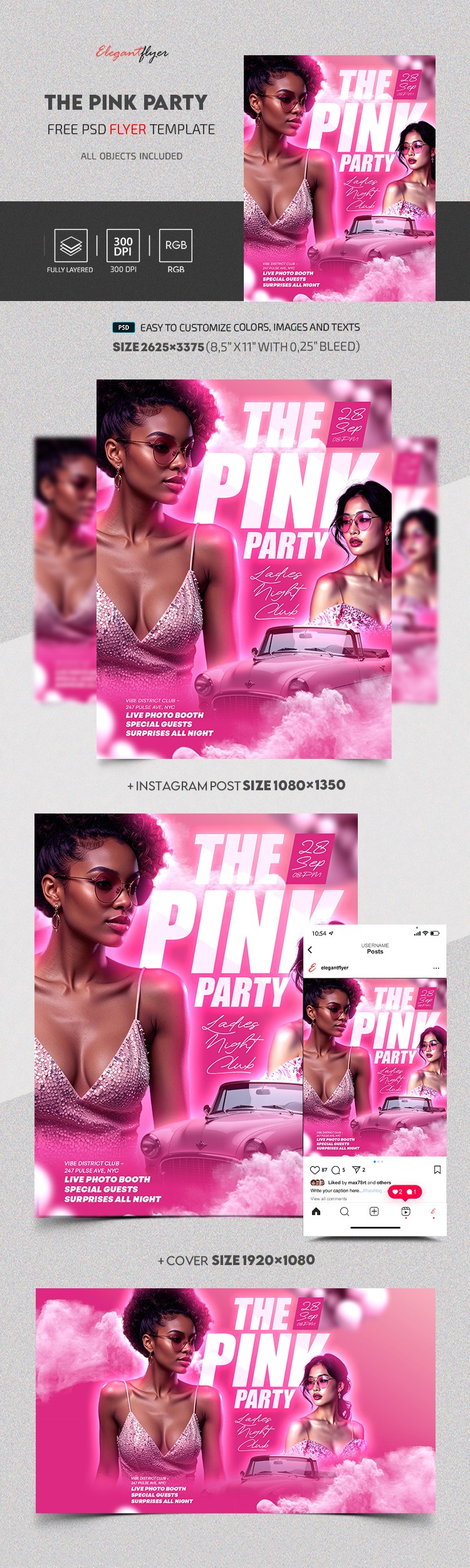 The Pink Party - Ladies Night Club by ElegantFlyer The Pink Party - Ladies Night Club by ElegantFlyer
