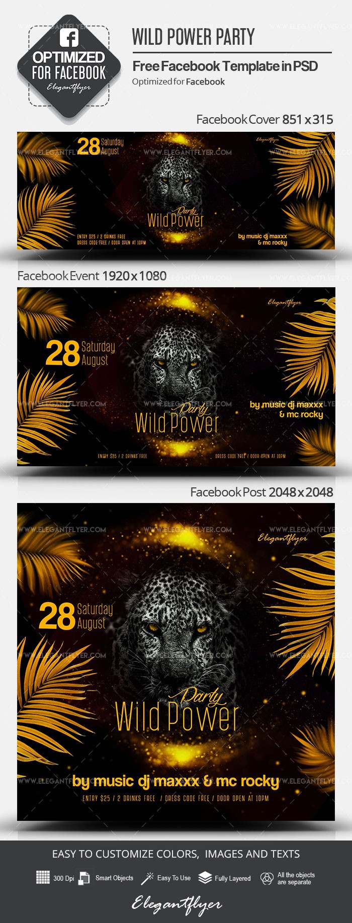 Wild Power Party Facebook by ElegantFlyer