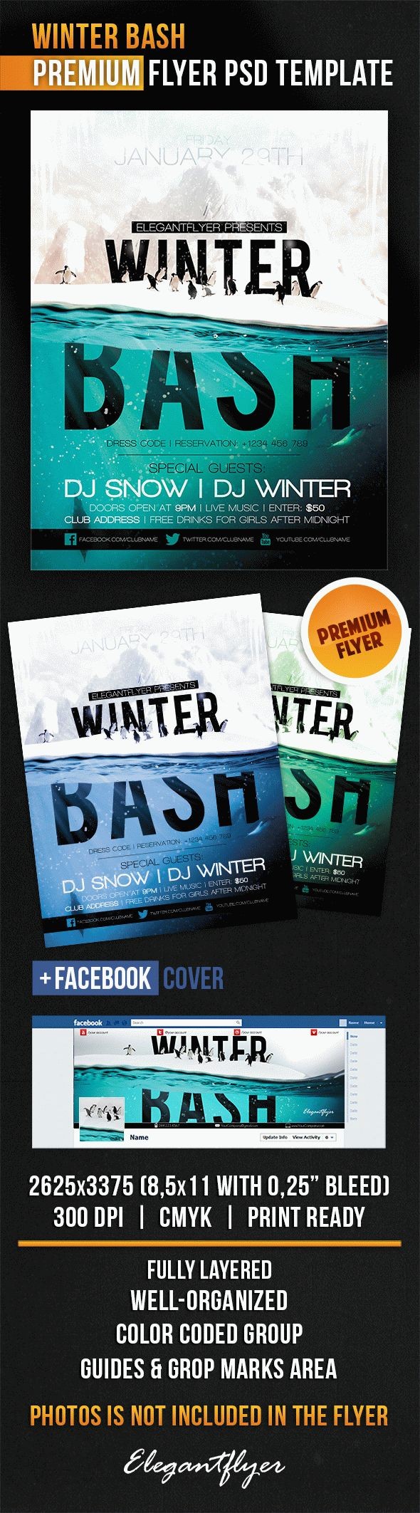 Bash d'hiver by ElegantFlyer