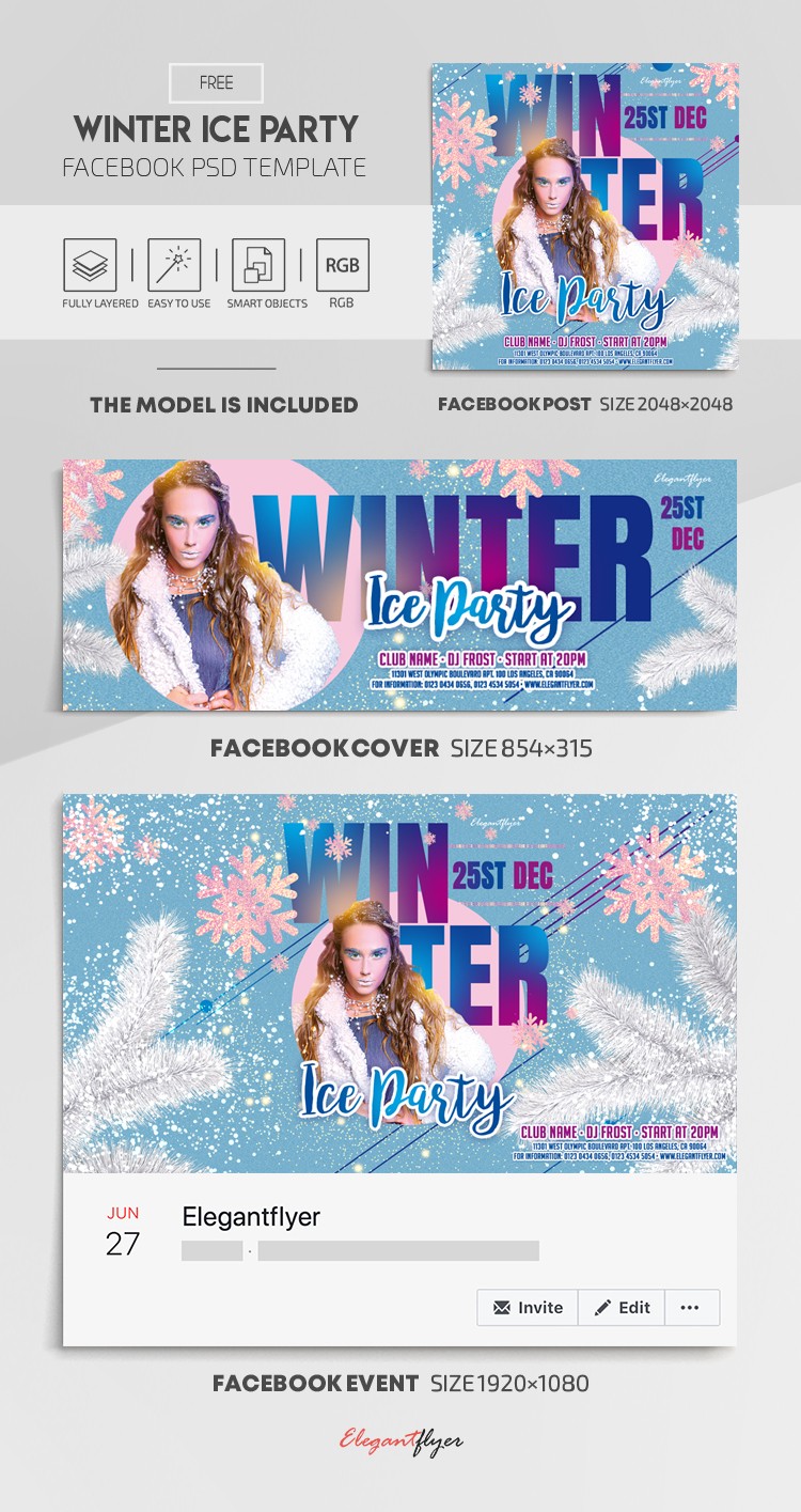 Winter Ice Party Facebook by ElegantFlyer