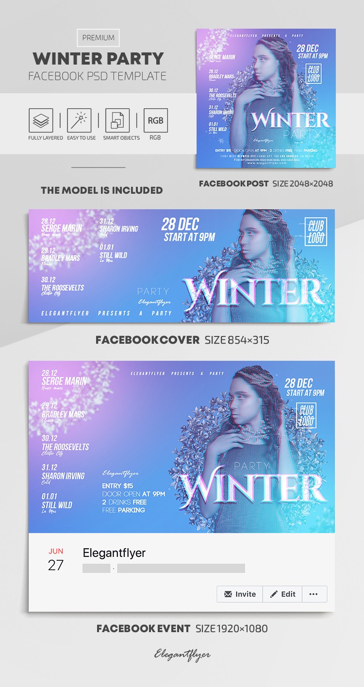 Festa de Inverno no Facebook by ElegantFlyer