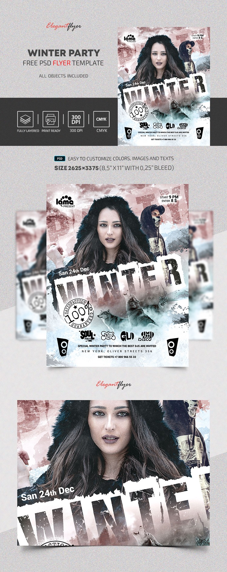 Winter Party Flyer by ElegantFlyer