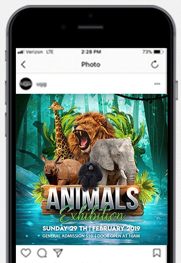 Mostra degli animali