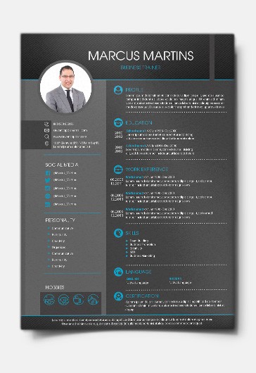 Business CV - Professional