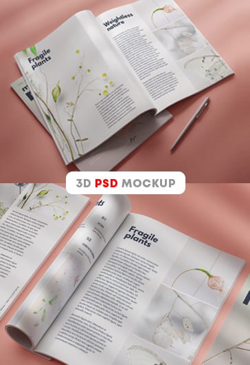 Magazine Mockup - Magazine