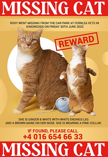 Missing Cat - Missing Poster