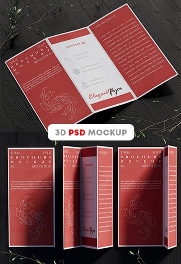 Tri-Fold Brochure Mockup - Brochure