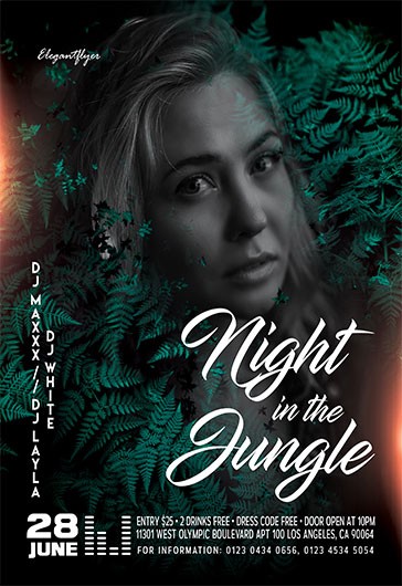 Night in the Jungle - Party