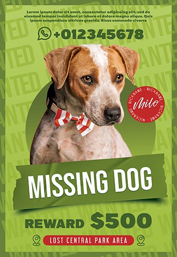 missing dog flyer template