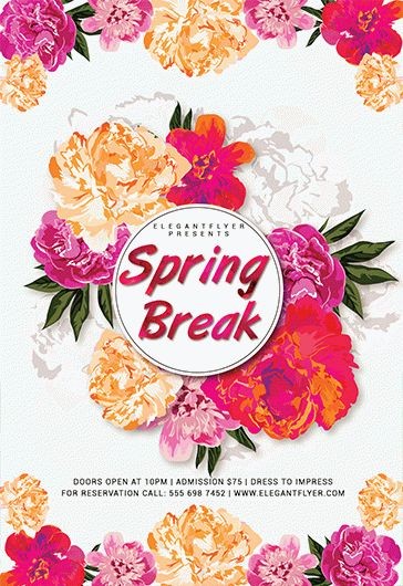 Spring Break Party Flyer