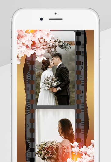 Wedding Photographer