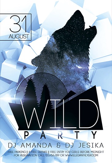Wild Party - DJ